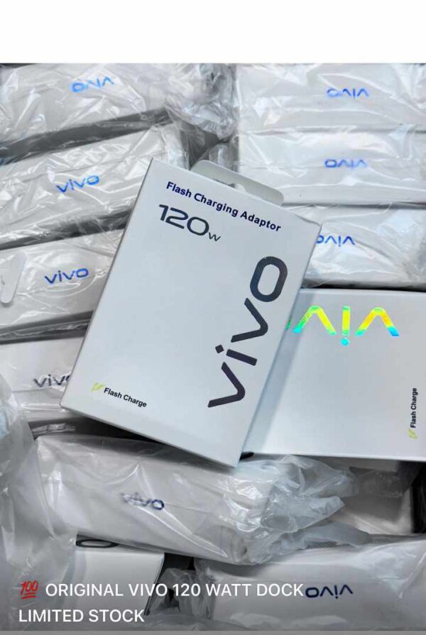 Vivo 120W Charger